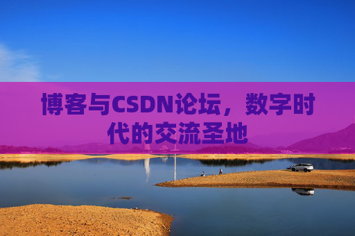 博客与CSDN论坛，数字时代的交流圣地